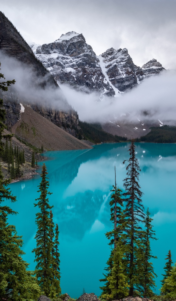 Туман над голубой водой озера в горах у леса