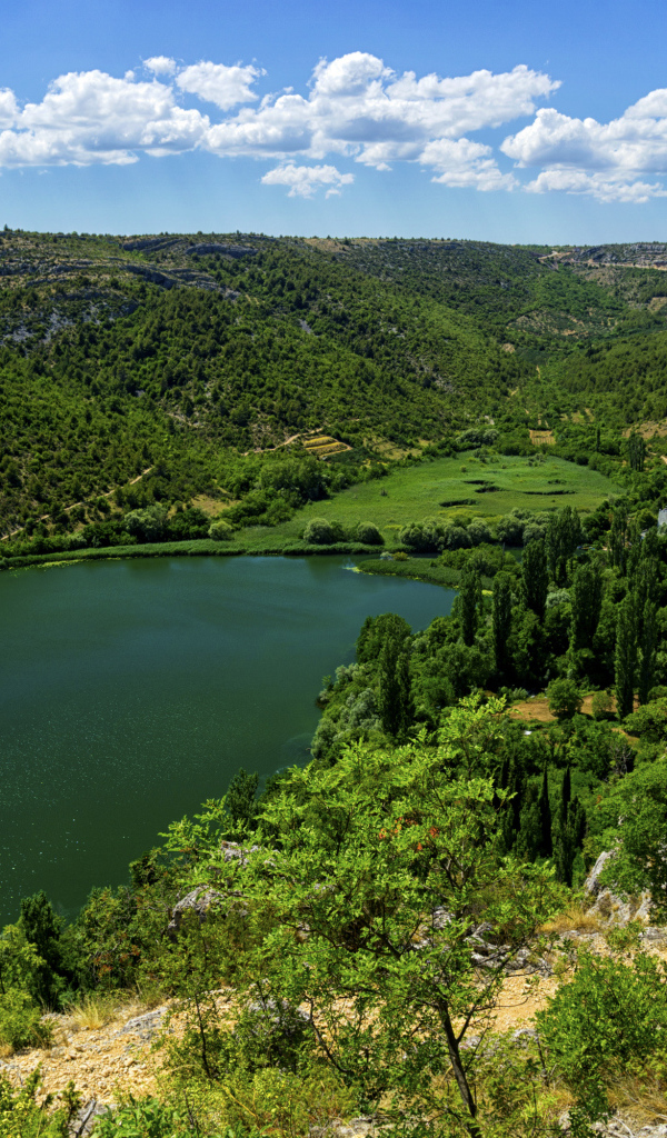 Озеро в живописном зеленом парке под голубым небом 