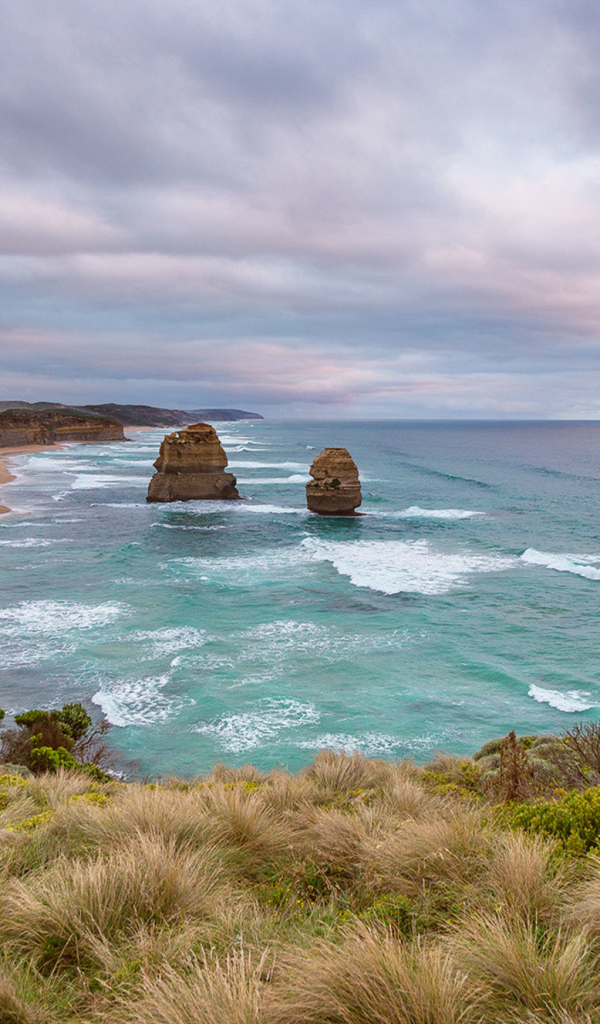 Красивый вид с утеса на морской залив 