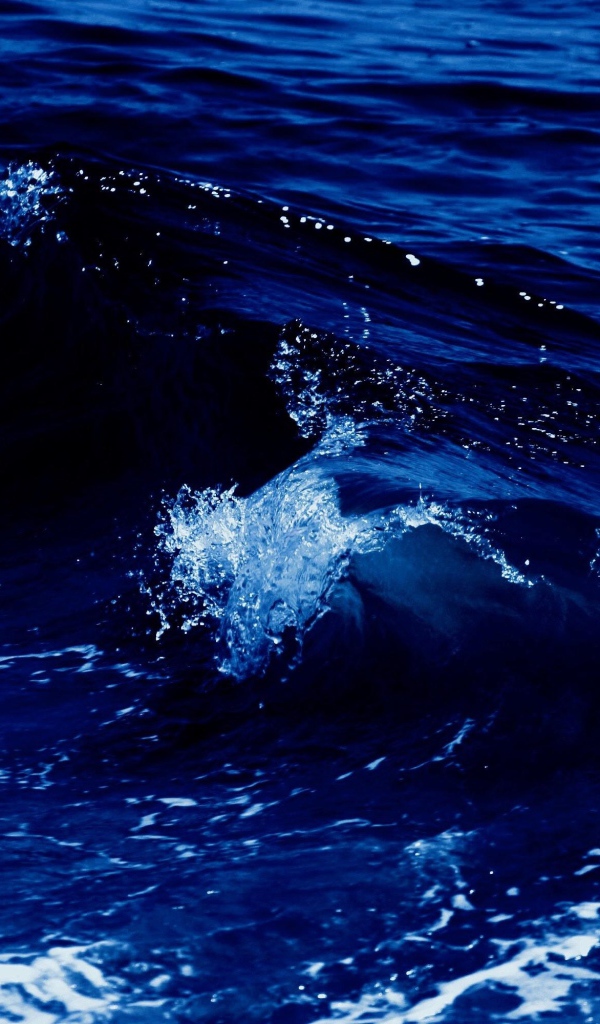 Белая волна в синем теплом море