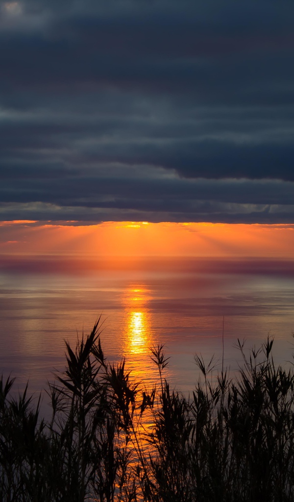 Красивый закат солнца в пасмурном небе 