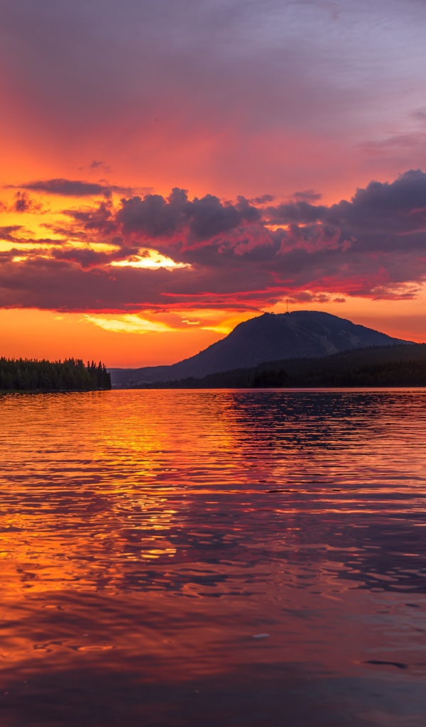 Закат в фиолетовом небе над рекой у леса