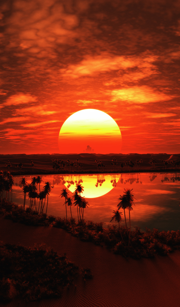 Закат большого солнца над пустыней в тропиках