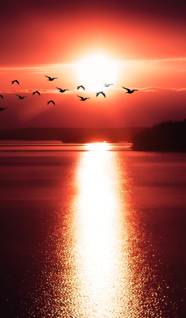 Солнце на закате оставляет дорожку на воде