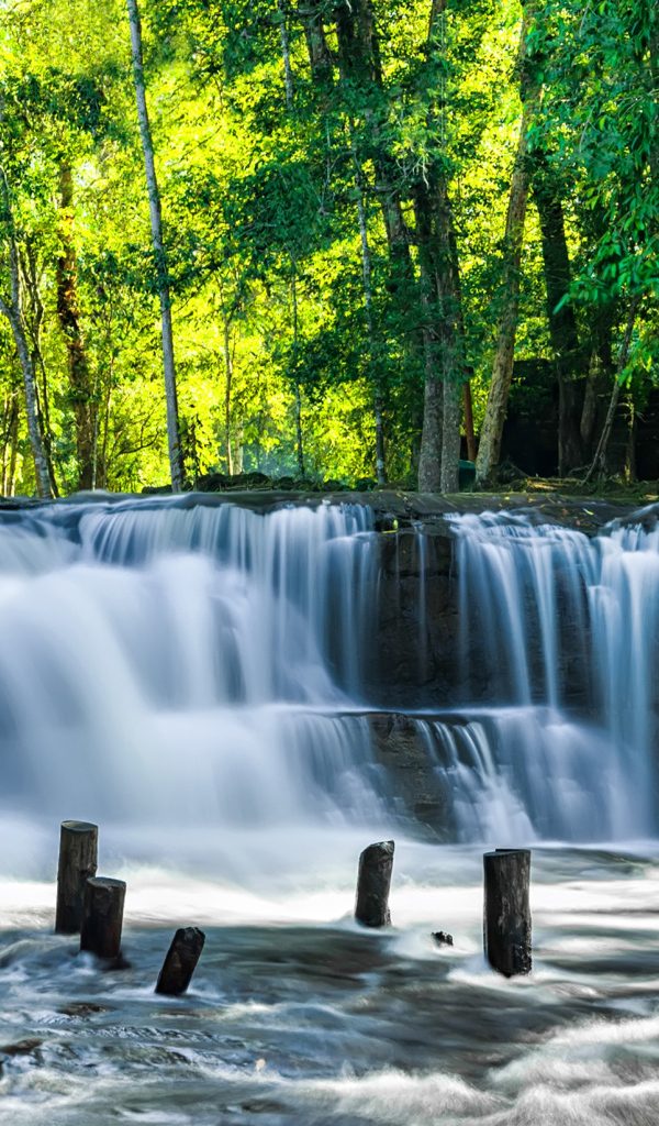 Водопад стекает с камней у зеленых деревьев