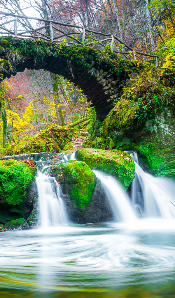 Водопад под старым покрытым мхом мостом