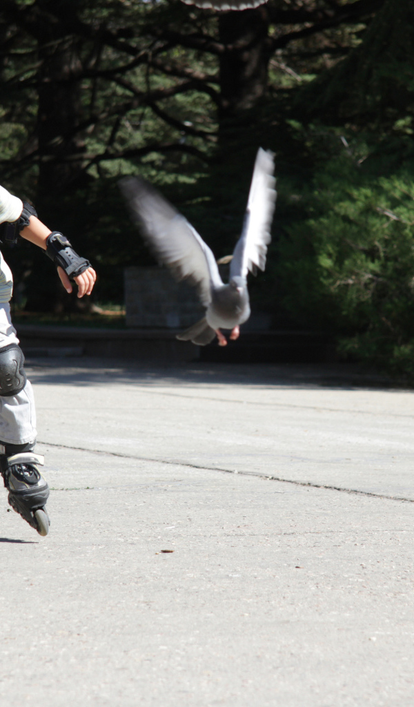 Мальчик катается на роликах на асфальте с голубями