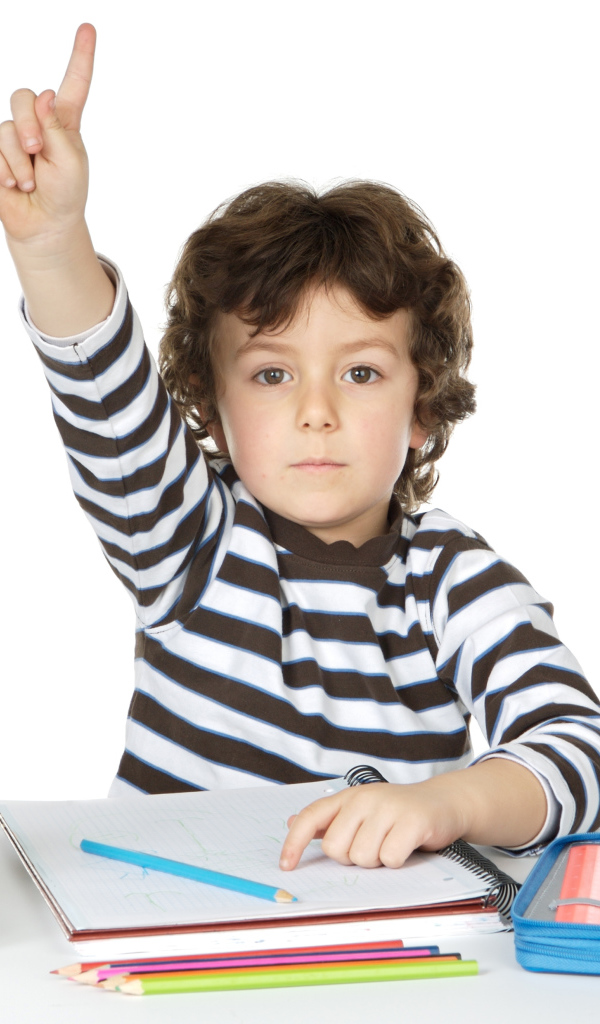 Маленький мальчик школьник отвечает на уроке 