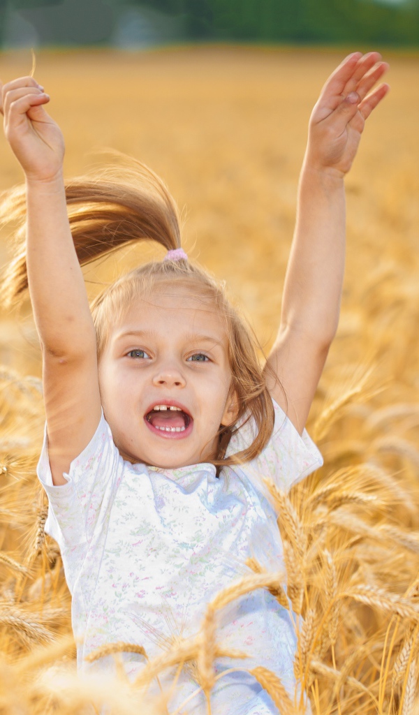 Маленькая веселая девочка в желтой пшенице