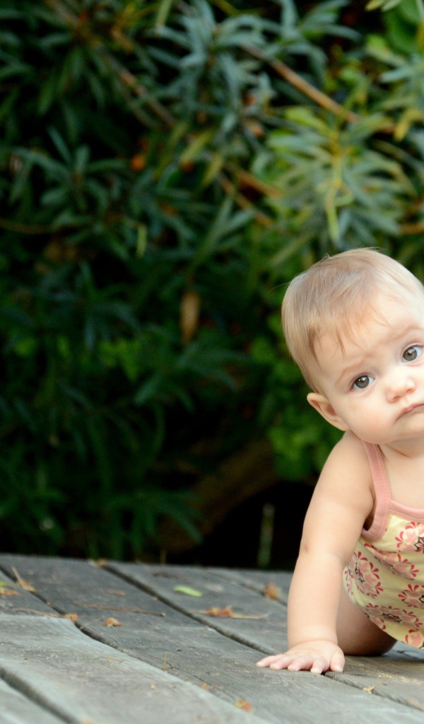 Маленькая девочка ползет по деревянному мосту