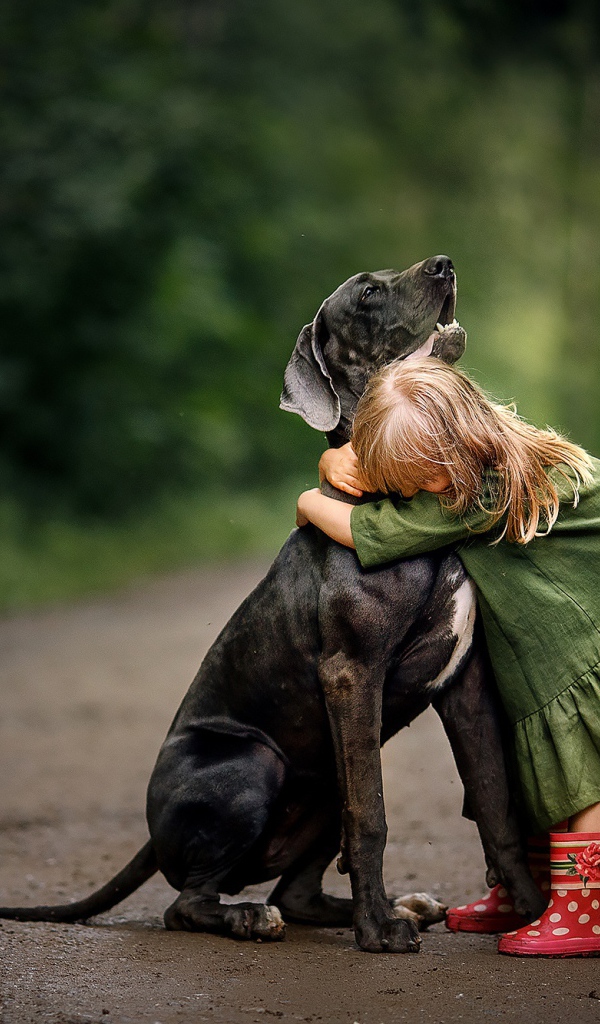 Маленькая девочка обнимает большого черного дога