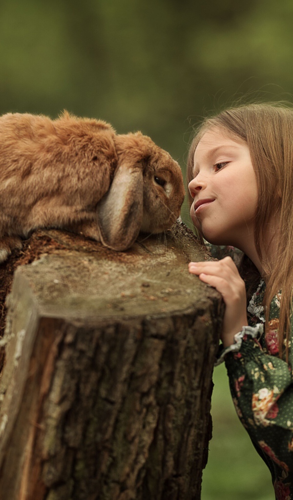 Маленькая девочка смотрит на декоративного кролика