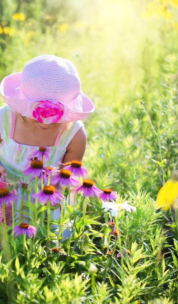 Маленькая девочка на поляне с розовыми цветами эхинацеи 