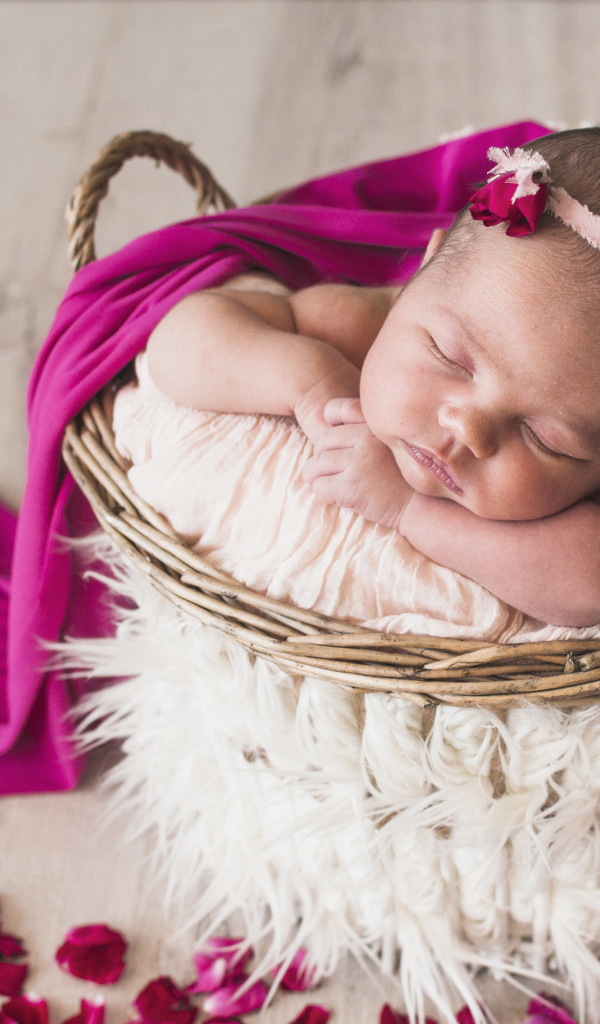 Маленькая девочка спит в корзине под покрывалом