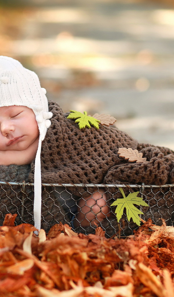 Спящий грудной ребенок в корзине осенью 