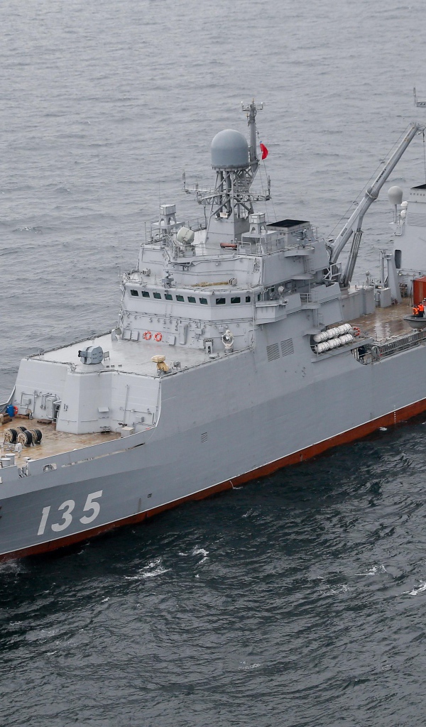 Большой десантный корабль 