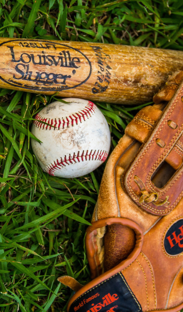 Бейсбольная бита, перчатка и мяч лежат на зеленой траве