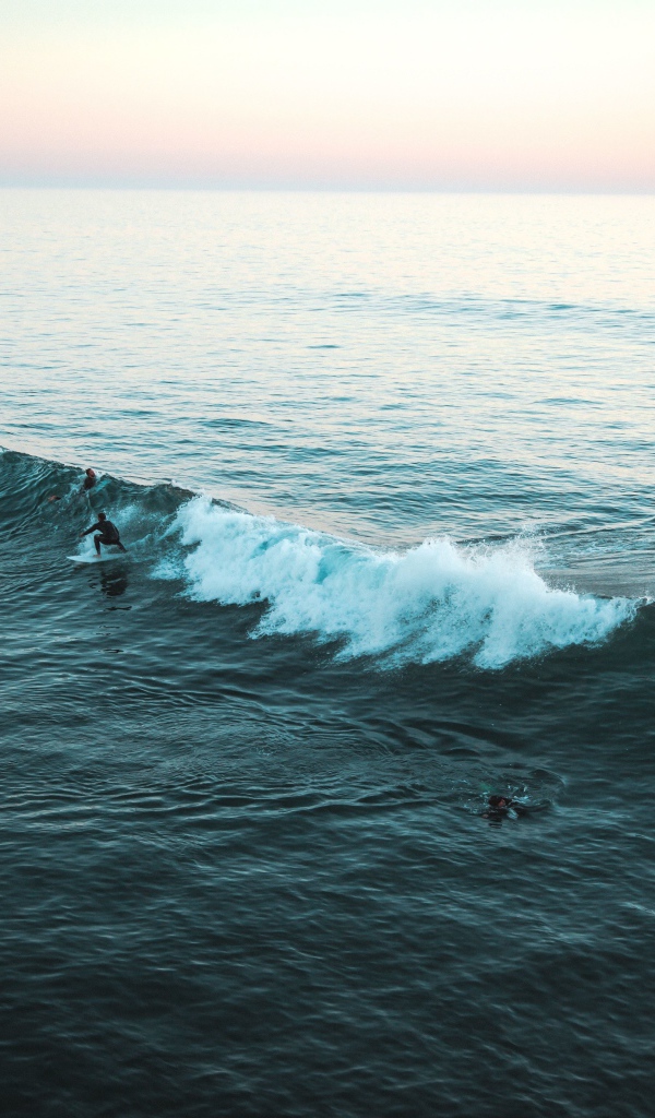 Серфингисты ловят волну в море 