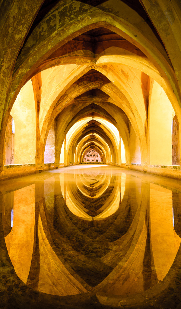 Старинная архитектура отражается в зеркальной поверхности 