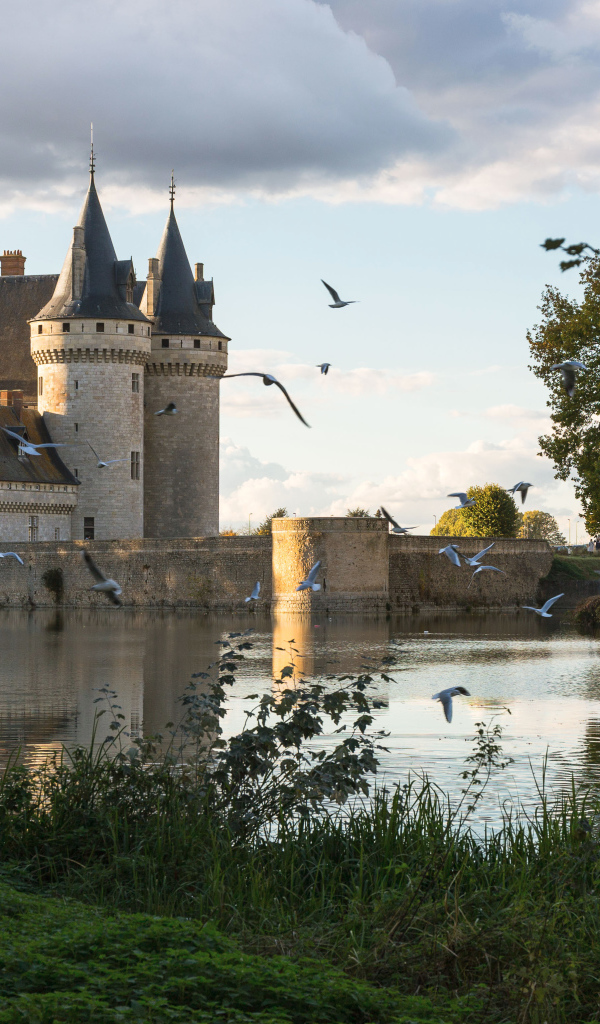 Замок Сюлли-сюр-Луар у воды, Париж. Франция