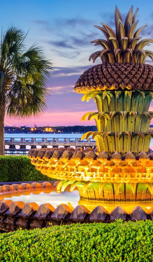 Необычный красивый фонтан ананас в США