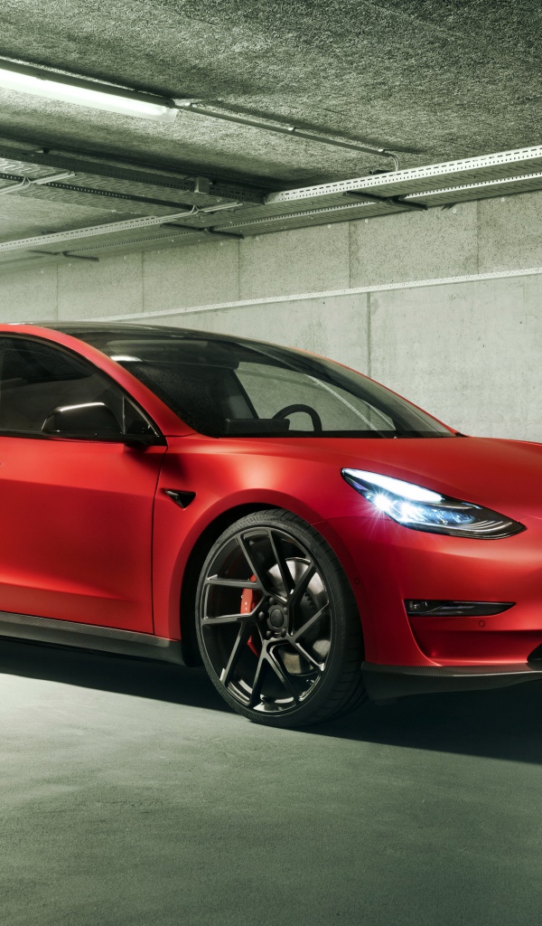 Красный автомобиль Tesla Model 3 2019 года 