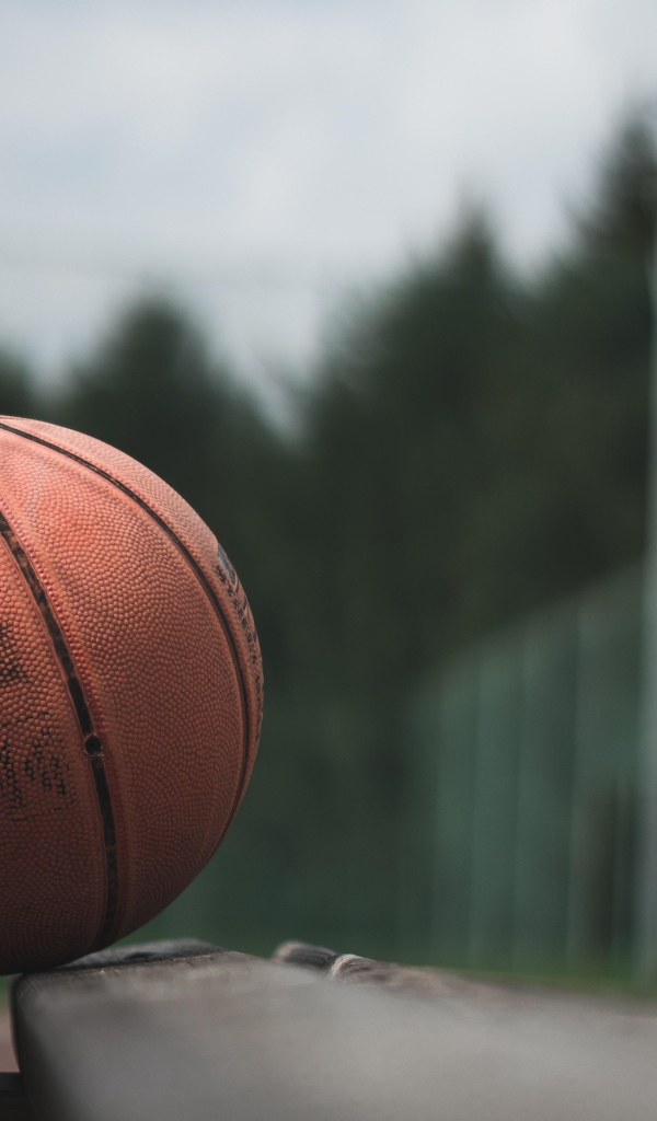 Баскетбольный мяч лежит на деревянной лавке