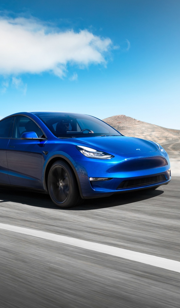Синий автомобиль Tesla Model Y 2020 года на фоне голубого неба