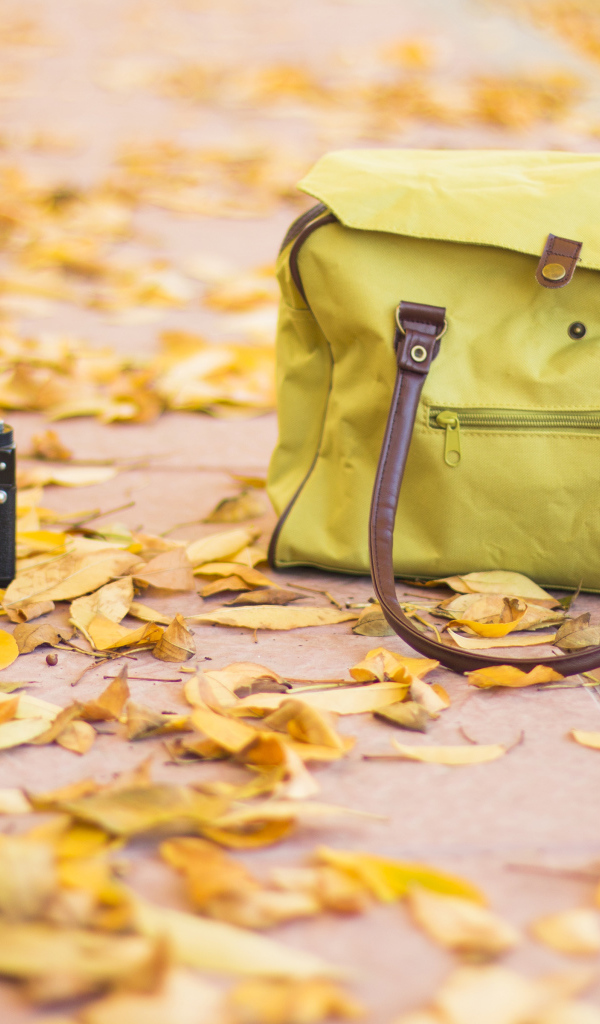 Фотоаппарат и сумка стоят на сухих листьях осенью