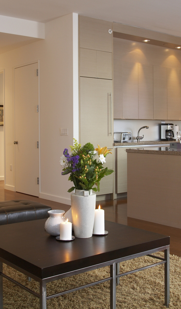 Гостиная комната с кухней 