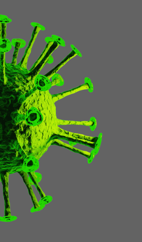 Green virus on a gray background