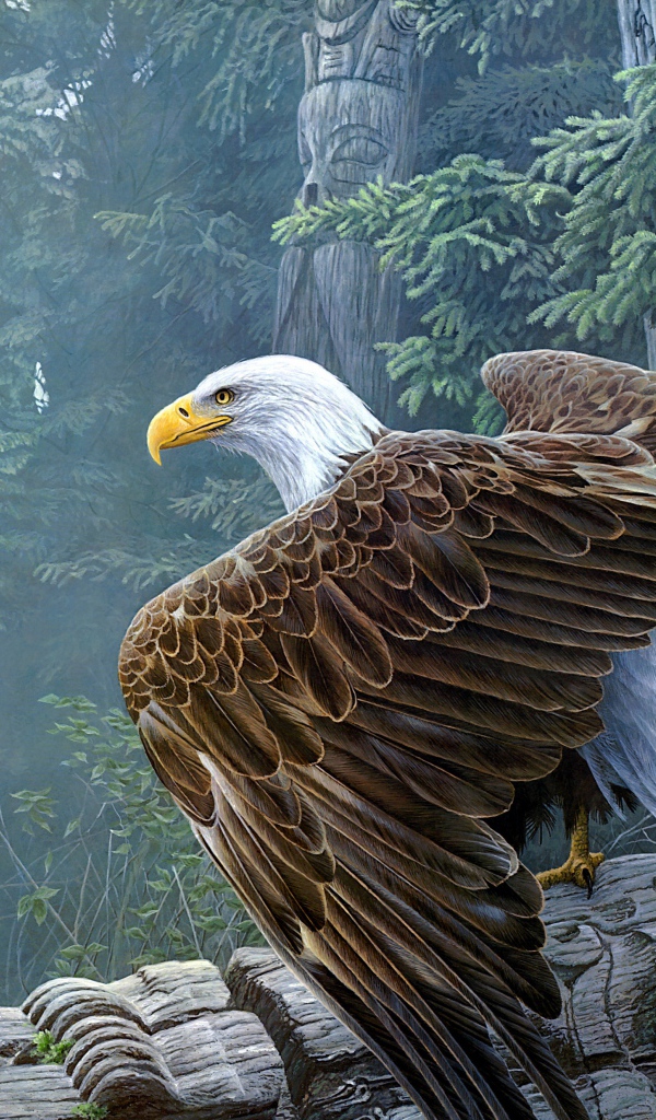 Большой белоголовый орлан сидит на столбе 