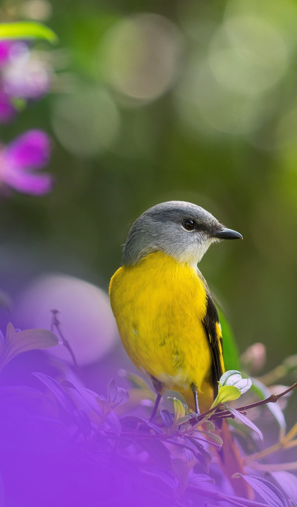 Маленькая птичка сидит на ветке дерева 