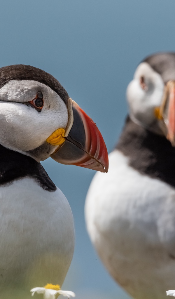 Два тупика на фоне голубого неба 