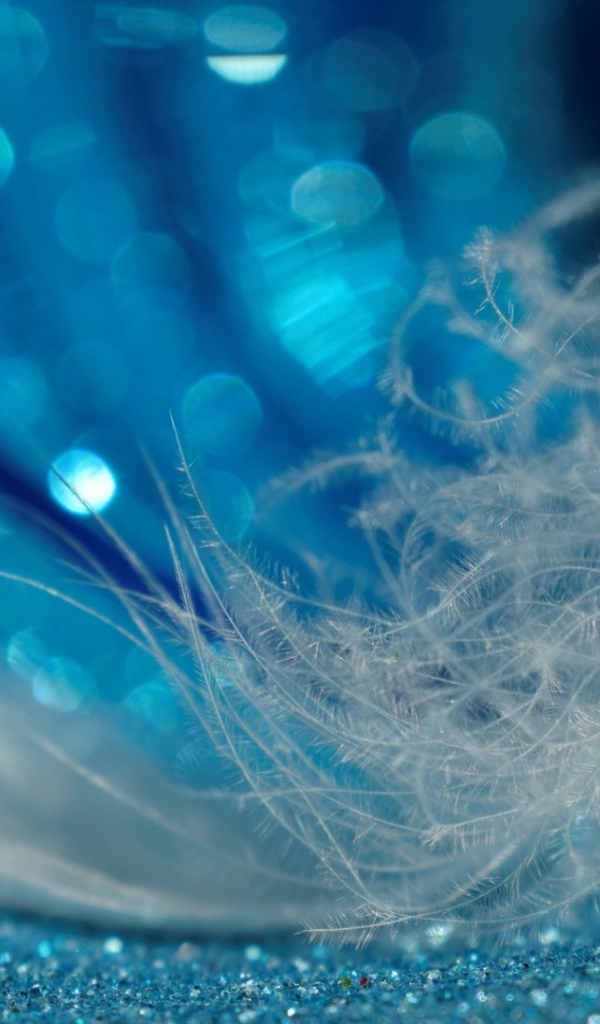 Белое легкое перо лежит на блестящей голубой поверхности 