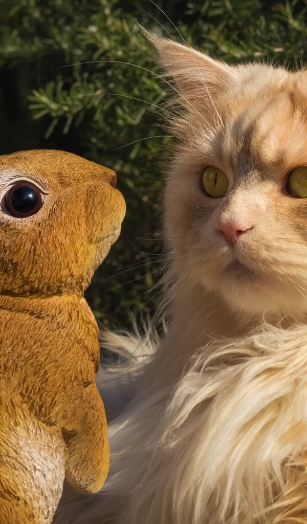 Пушистый рыжий кот сидит в парке со статуэткой кролика 