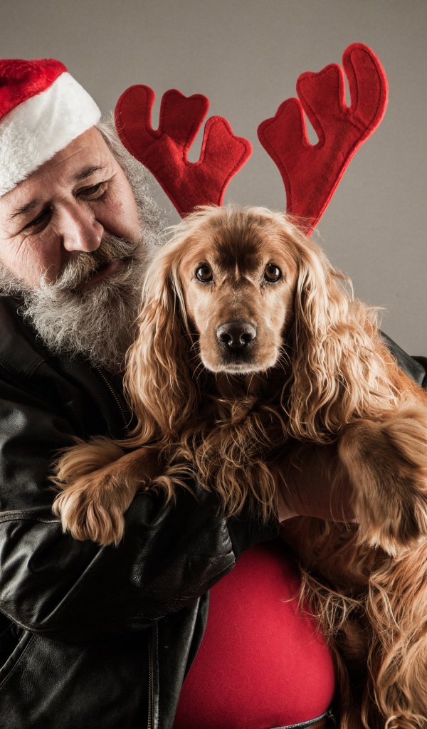 Санта Клаус с собакой в руках на сером фоне