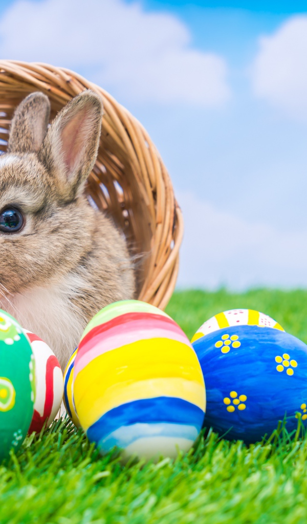 Милый декоративный кролик в корзине с пасхальными яйцами