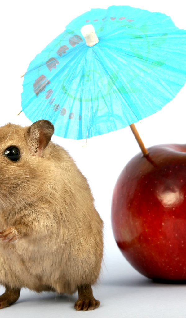 Мышонок с яблоком и зонтиком на белом фоне