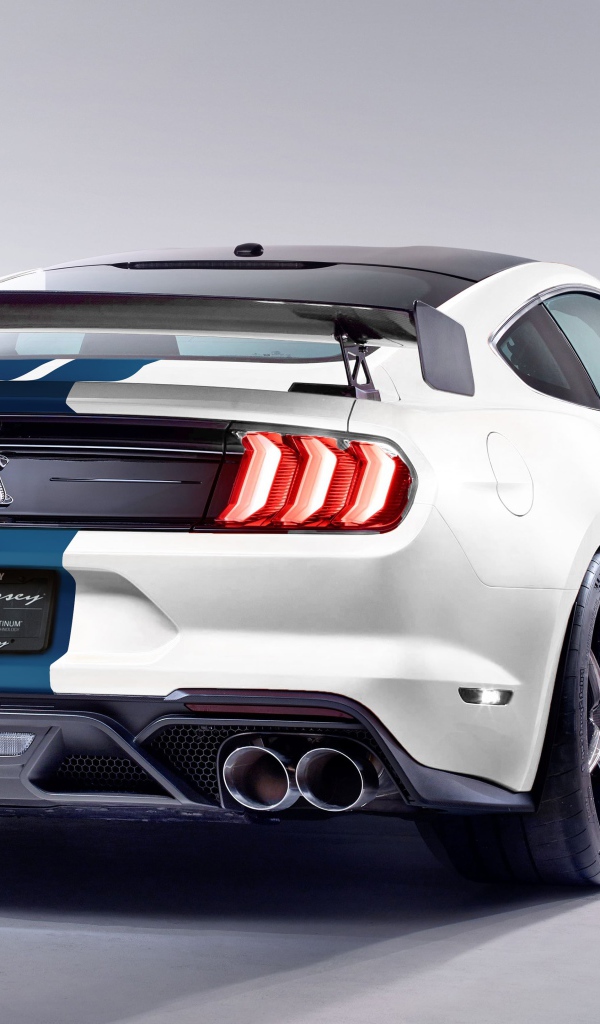 Спортивный автомобиль Hennessey GT500 Venom 1000, 2020 года вид сзади