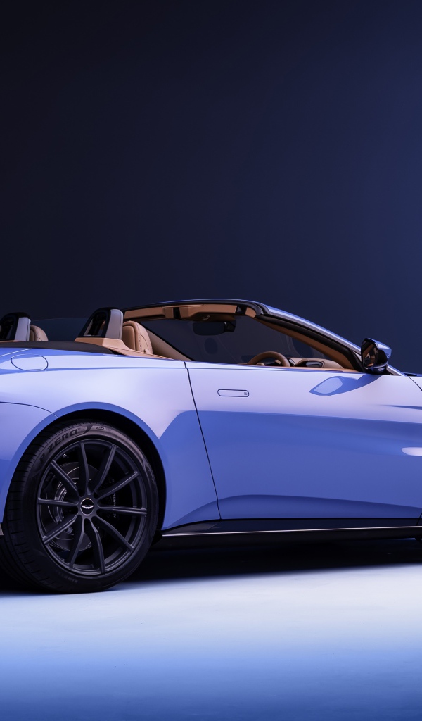 Автомобиль Aston Martin Vantage Roadster 2020 года вид сзади