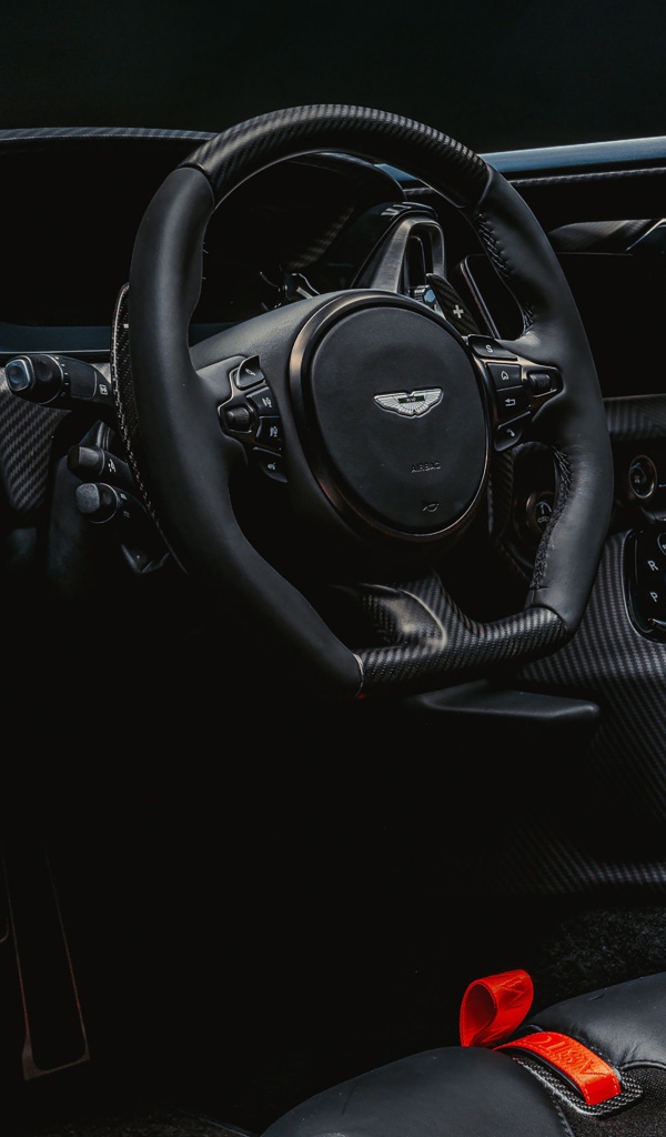 Черный кожаный салон Aston Martin V12 Speedster 2020 года