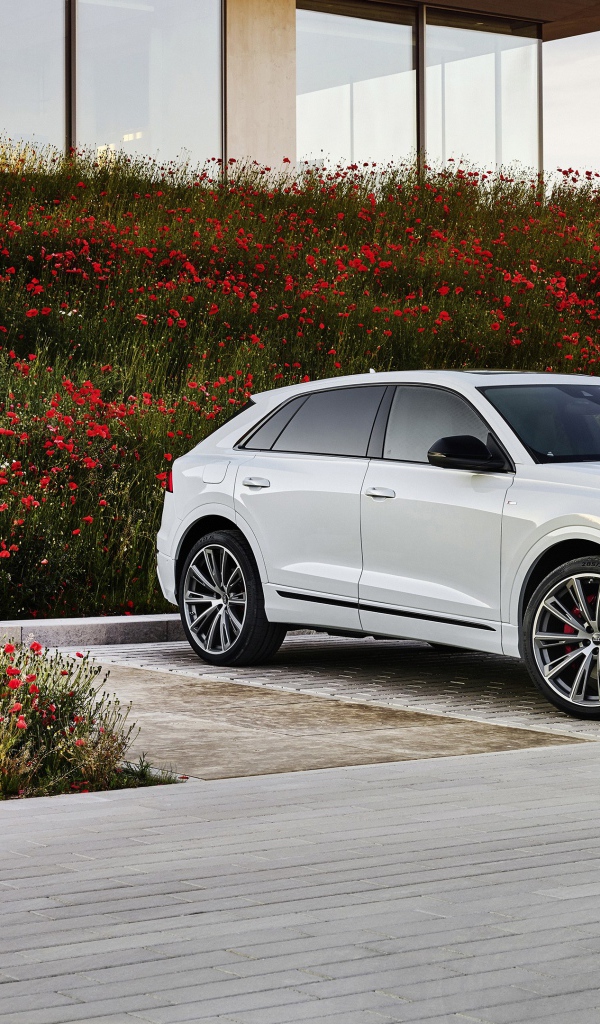Белый автомобиль Audi Q8 60 TFSI E Quattro S Line 2020 года
