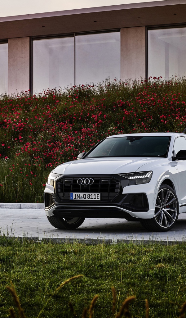 Автомобиль Audi Q8 60 TFSI E Quattro S Line 2020 года у дома