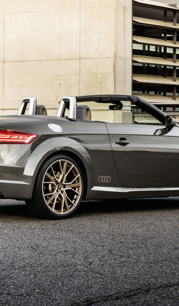 Автомобиль кабриолет Audi TT Roadster, 2021 года вид сзади