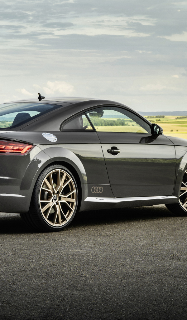 Автомобиль Audi TT, 2021 года на фоне полей