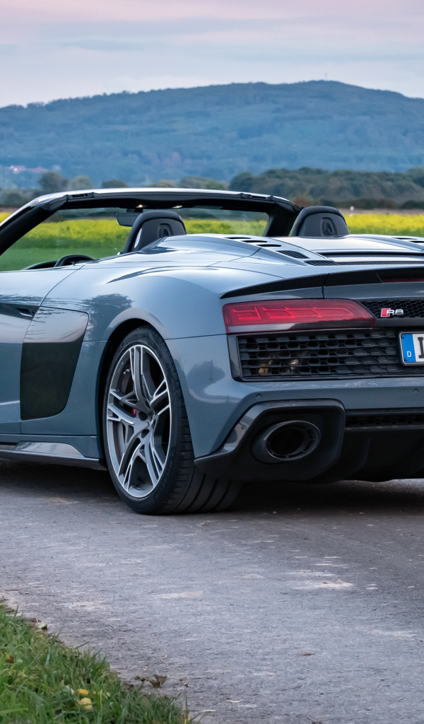 Кабриолет Audi R8 V10 вид сзади