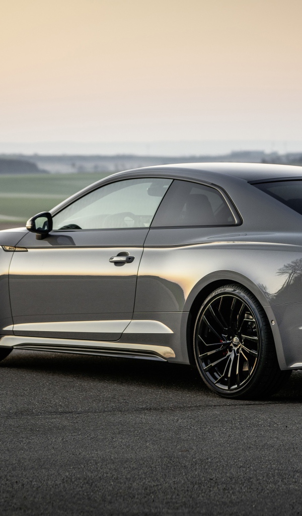 Автомобиль Audi RS 5 Coupe вид сзади 