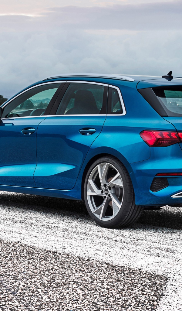 Синий автомобиль Audi A3 Sportback 35 TFSI 2020 года вид сзади