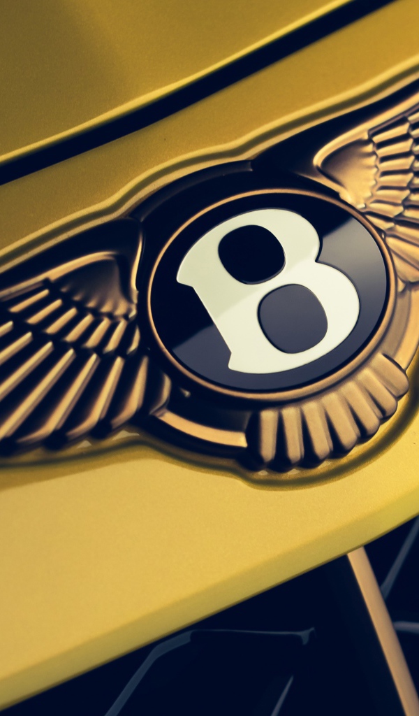 Логотип автомобиля Bentley Mulliner Bacalar 2020  года крупным планом